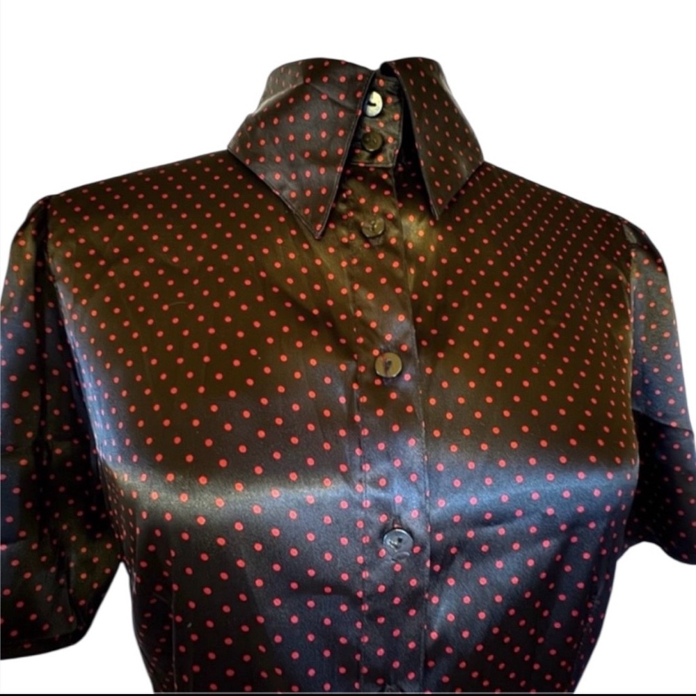 Ripe Collection Retro (60s) Black Satin w Red Polka Dot Long Button Up Dress